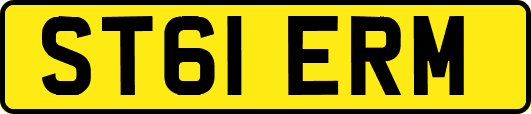 ST61ERM