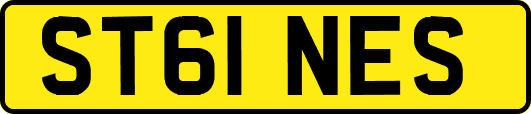 ST61NES