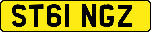 ST61NGZ