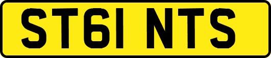 ST61NTS