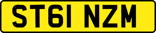 ST61NZM