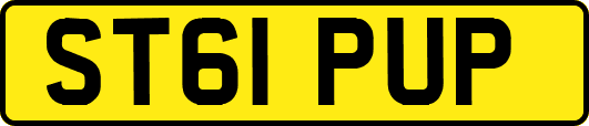 ST61PUP