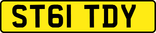 ST61TDY
