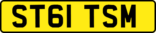 ST61TSM