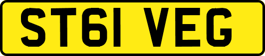 ST61VEG