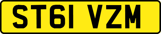 ST61VZM