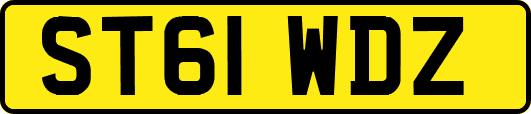 ST61WDZ