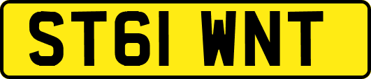ST61WNT