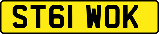 ST61WOK
