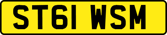 ST61WSM