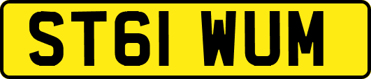 ST61WUM