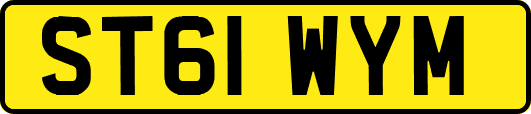 ST61WYM
