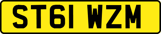ST61WZM