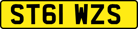ST61WZS