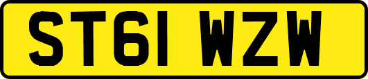 ST61WZW
