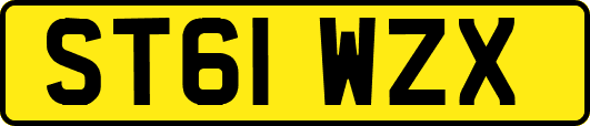 ST61WZX