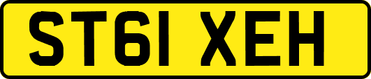 ST61XEH
