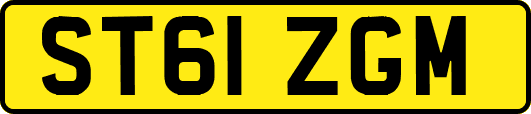 ST61ZGM