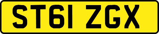 ST61ZGX