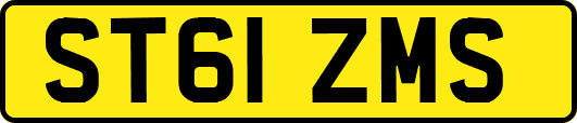 ST61ZMS