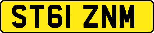 ST61ZNM