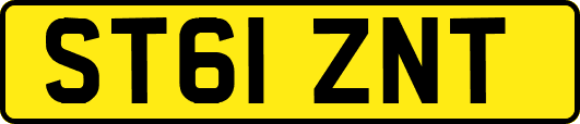 ST61ZNT