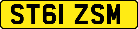 ST61ZSM