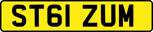 ST61ZUM