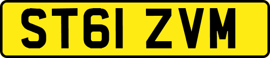 ST61ZVM