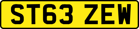 ST63ZEW