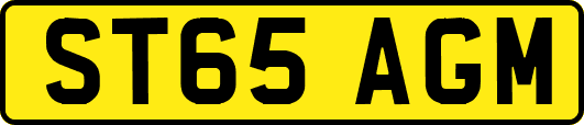 ST65AGM