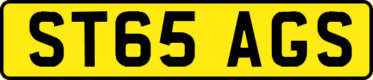 ST65AGS