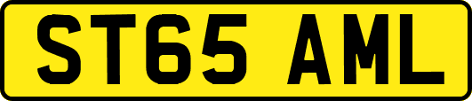 ST65AML