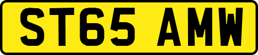 ST65AMW