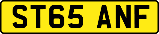 ST65ANF
