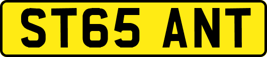 ST65ANT