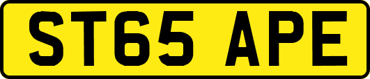 ST65APE