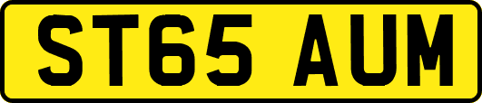 ST65AUM