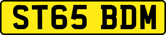 ST65BDM