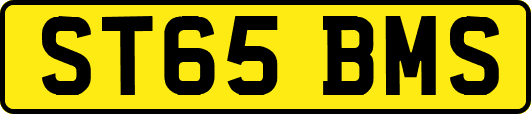 ST65BMS