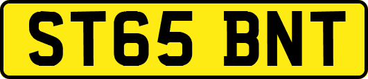 ST65BNT