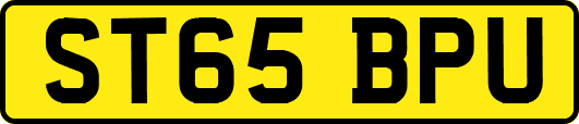 ST65BPU