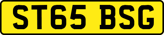 ST65BSG