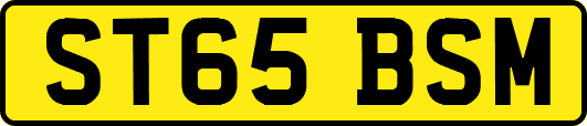 ST65BSM