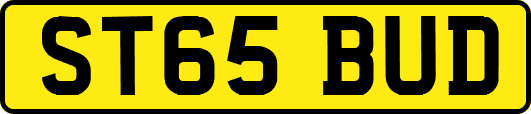 ST65BUD
