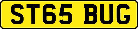 ST65BUG