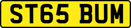 ST65BUM
