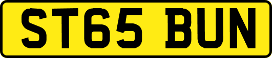 ST65BUN
