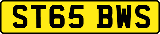ST65BWS
