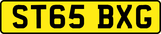 ST65BXG